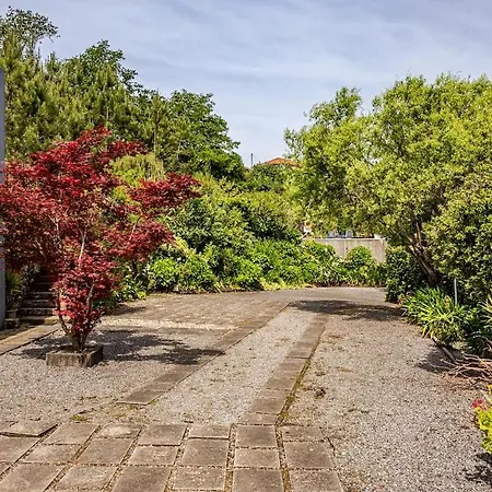 Casa Da Lapa - Private Nature With Pool For Families & Groups * Paredes de Coura