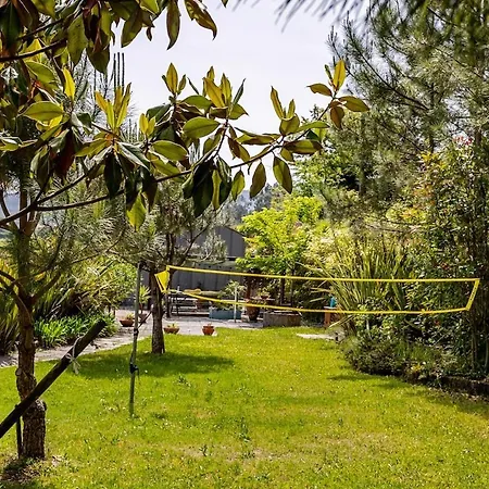 Casa vacanze Casa Da Lapa - Private Nature With Pool For Families & Groups *